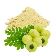 Dehydrated Gooseberry (Amla) Flakes & Powder