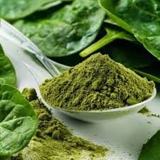 Dehydrated Spinach Leaves & Powder